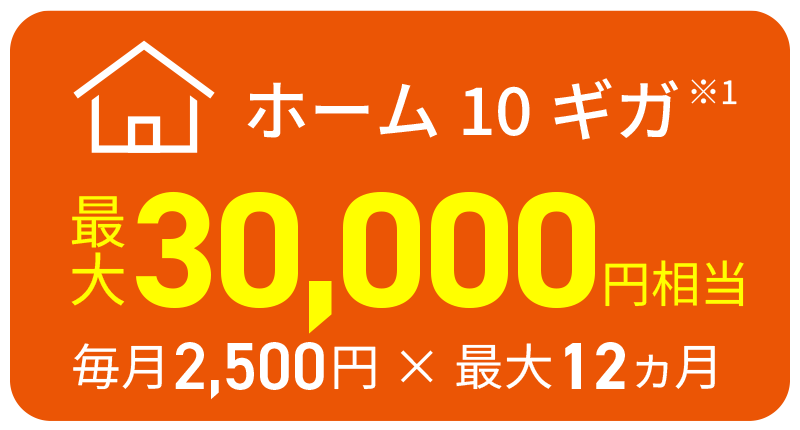 auひかり超得割（ホーム10ギガ）