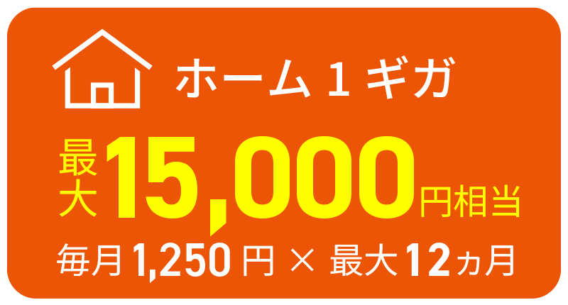 auひかり超得割（ホーム1ギガ）