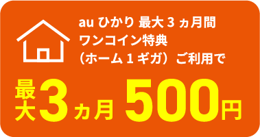 ワンコイン特典（ホーム1ギガ）