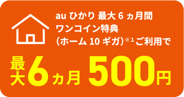 ワンコイン特典（ホーム10ギガ）