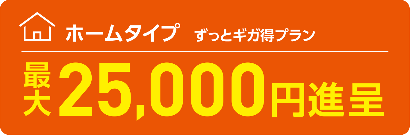 ホームタイプ  ずっとギガ得プラン